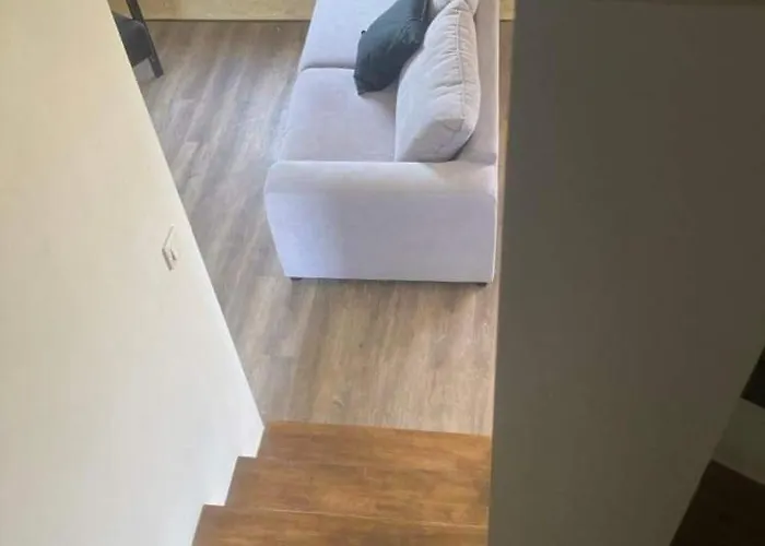 Le Chant Des Verdiers *