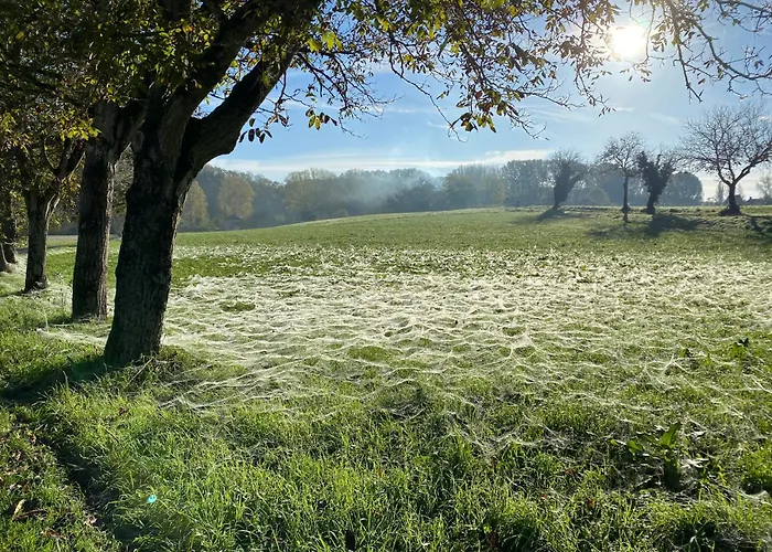 Le Chant Des Verdiers *